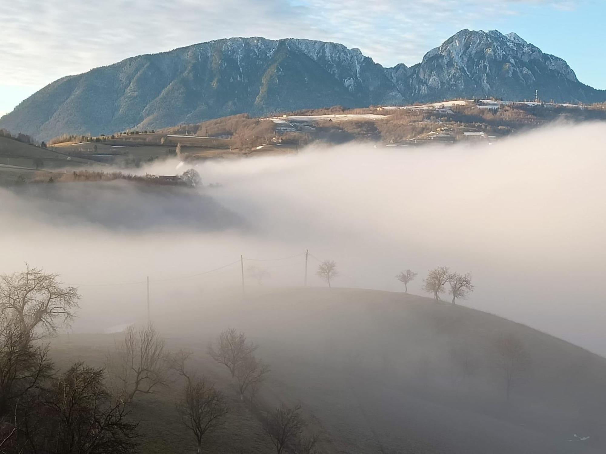 Casa Din Livada, Poiana Marului, Brasov Villa Buitenkant foto